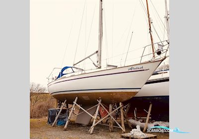Sadler 34 Segelboot 1984, mit Bukh DV24RM motor, England
