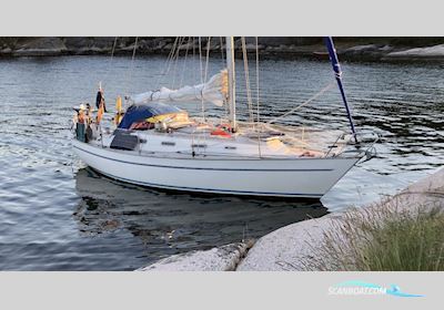 Sadler 34 Segelboot 1986, mit Beta Marine motor, Deutschland