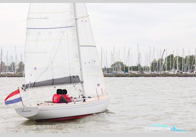 Saffier Sc 6.50 Segelboot 2019, mit Torqeedo motor, Niederlande