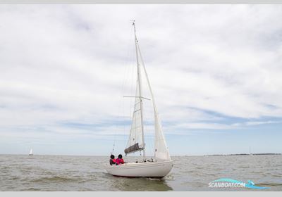 Saffier Sc 6.50 Segelboot 2019, mit Torqeedo motor, Niederlande