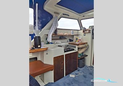 Saga 24 Segelboot 1979, mit Bukh motor, Dänemark