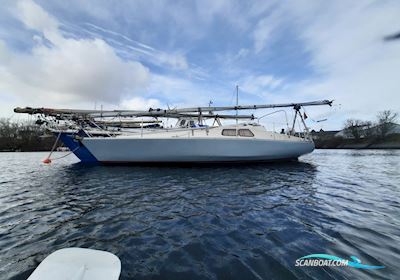 Scampi 30 Mk3 Segelboot 1973, mit Kubota 3 Zyl. D 722 motor, Deutschland