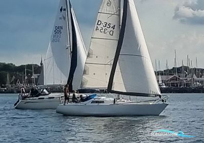 Scampi 30 Segelboot 1975, mit Volvo Penta  MD 2020 motor, Dänemark