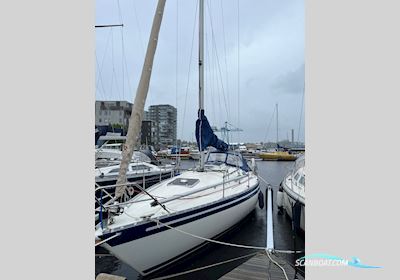 Scanmar 33 Segelboot 1984, mit Volvo Penta VP2003 motor, Sweden