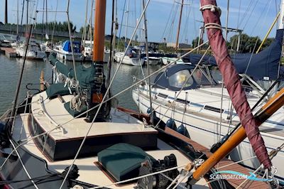 Schokker 10m Segelboot 1964, Niederlande