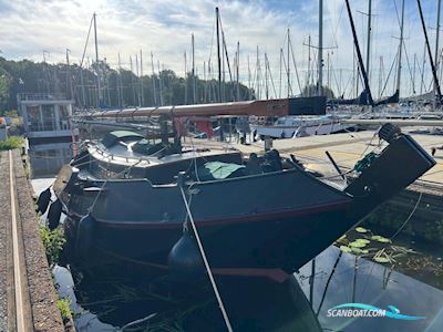 Schokker 10m Segelboot 1964, Niederlande