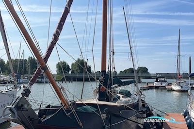 Schokker 10m Segelboot 1964, Niederlande