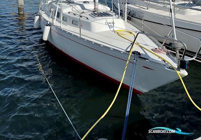 Shipman 28 Segelboot 1977, mit Yanmar Yse8 motor, Dänemark