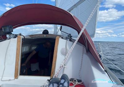 Shipman 28 Segelboot 1977, mit Yanmar Yse8 motor, Dänemark