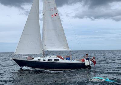 Shipman 28 Segelboot 1975, mit Craftsman motor, Dänemark