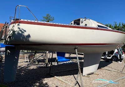 Solus Alta Segelboot 1982, mit Mercury 4 stroke motor, Dänemark