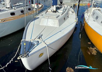 Spækhugger Racing Segelboot 1974, mit Parsun motor, Dänemark