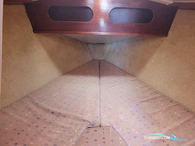 Spear 30 Segelboot 1981, Niederlande