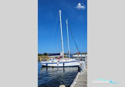 Stichnoth Stic 36 Segelboot 1991, mit Beta Marine motor, Deutschland