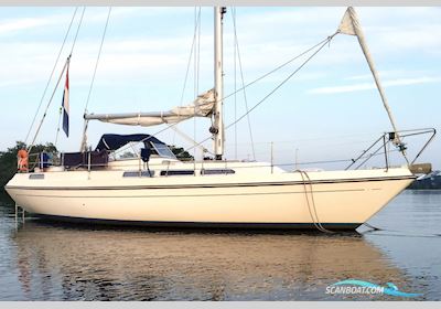 Storebro Royal 33 Segelboot 1981, mit Volvo Penta motor, Niederlande