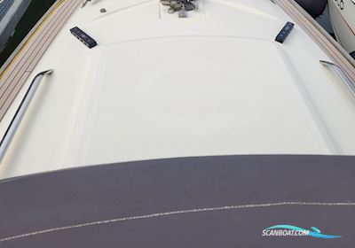 Sunbeam 28.1 Segelboot 2017, mit Volvo Penta motor, Deutschland