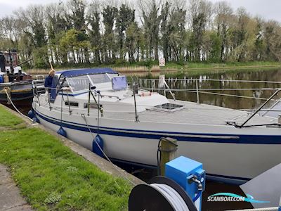 Targa 96 AK Segelboot 1976, mit Volvo Penta motor, Niederlande