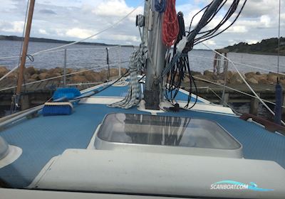 Targa 96 Segelboot 1979, mit Volvo Penta d1 30 motor, Dänemark