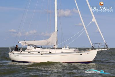 Tayana 37 Segelboot 1976, mit Lombardini motor, Niederlande