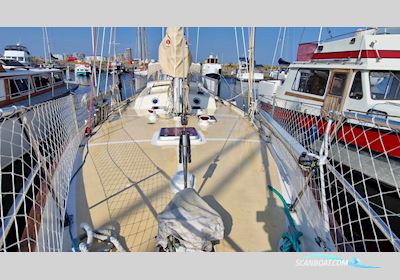 Tradewind 39 Segelboot 1980, mit Bukh motor, Dänemark
