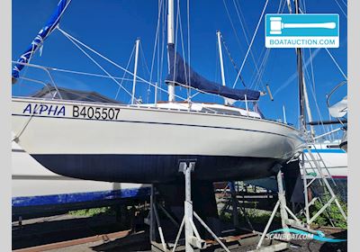Trapper 300 Segelboot 1978, mit Yanmar motor, Belgien