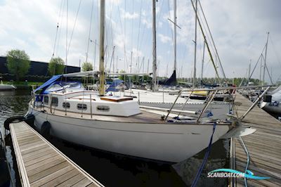 Trintella 2 Segelboot 1971, mit Sabb motor, Niederlande