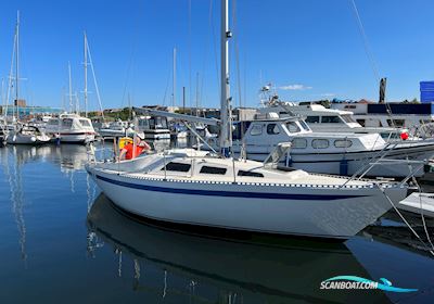 Trio 80 Segelboot 1979, mit Yanmar motor, Dänemark