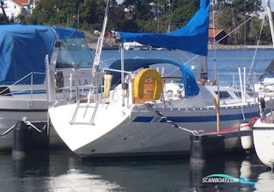Trio 80 Segelboot 1981, mit Yanmar motor, Dänemark