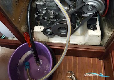 Trio 92 Segelboot 1983, mit yanmar motor, Dänemark