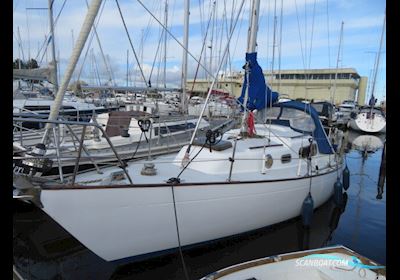 Van de Stadt 29 Segelboot 1969, mit Beta motor, England