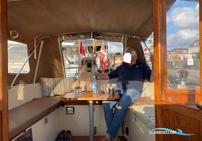 Venus 31 Segelboot 1983, mit Bukh DV48 motor, Dänemark