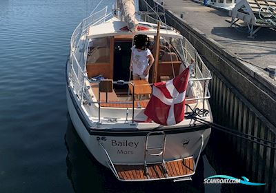 Venus 31 Segelboot 1983, mit Bukh DV48 motor, Dänemark