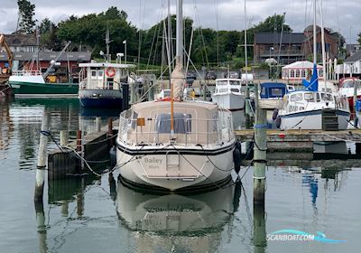Venus 31 Segelboot 1983, mit Bukh DV48 motor, Dänemark