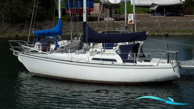Victoire 933 Segelboot 1979, mit Yanmar 2GM20 motor, Niederlande