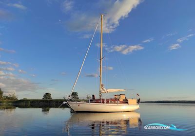 Vindo 40 Segelboot 1974, mit Md2b motor, Polen