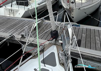 Vindo Segelboot 1982, mit Volvo Penta MD17D motor, Niederlande