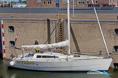Waarschip 36 LD Segelboot 1993, mit Nanni motor, Niederlande