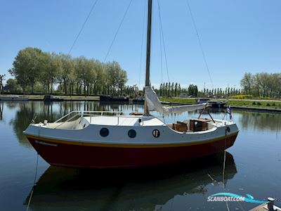 Wadder 810 Segelboot 1978, mit Yanmar motor, Niederlande