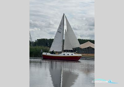 Wadder 810 Segelboot 1978, mit Yanmar motor, Niederlande