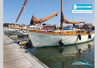 Warner Sloep Segelboot 1954, mit Vetus motor, Niederlande