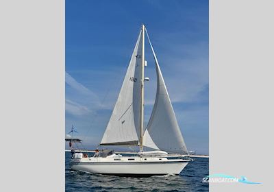 Westerly Conway 35 Segelboot 1979, mit Mercedes-Benz OM636-900-003 motor, Portugal