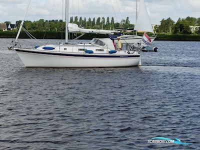 Westerly Konsort 29 Segelboot 1992, mit Volvo Penta motor, Niederlande
