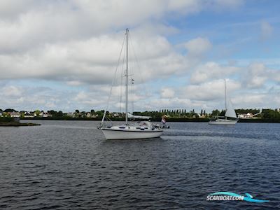 Westerly Konsort 29 Segelboot 1992, mit Volvo Penta motor, Niederlande