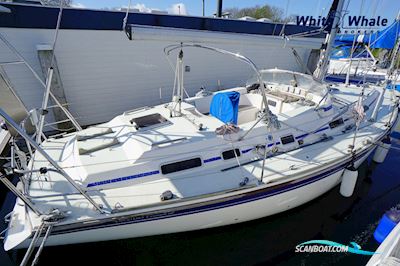 Westerly Oceanlord 41 Mk2 Segelboot 1995, mit Volvo Penta motor, Niederlande
