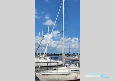 Widholm Beason 31 Segelboot 1980, Deutschland