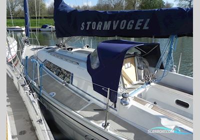 Winner  950 Segelboot 2003, mit Yanmar motor, Niederlande