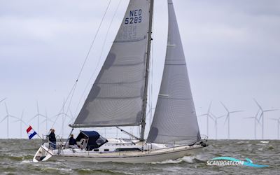Winner 11.20 Segelboot 1994, mit Yanmar motor, Niederlande