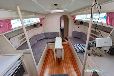 Winner 950 Segelboot 1992, Niederlande