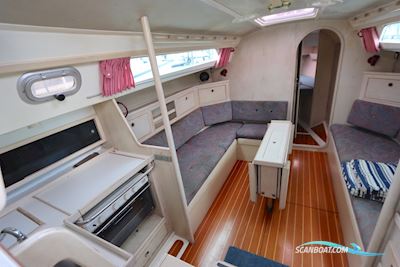 Winner 950 Segelboot 1992, Niederlande