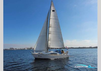 Winner 950 Segelboot 1992, Niederlande